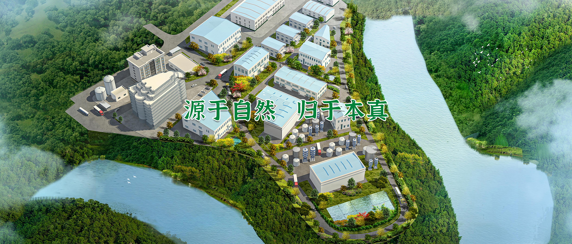 来凤 